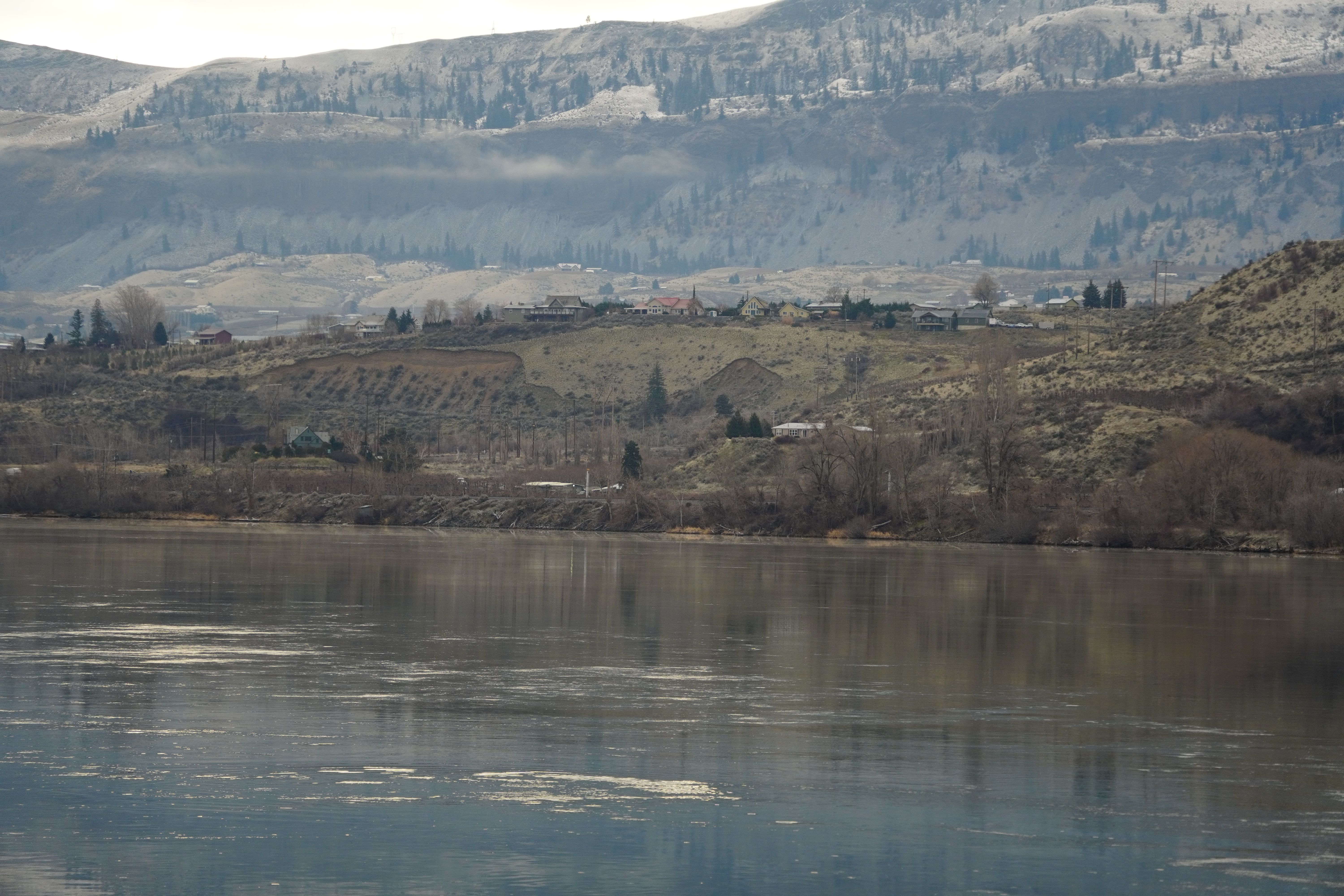 No BS Meats Artisan Cut 3