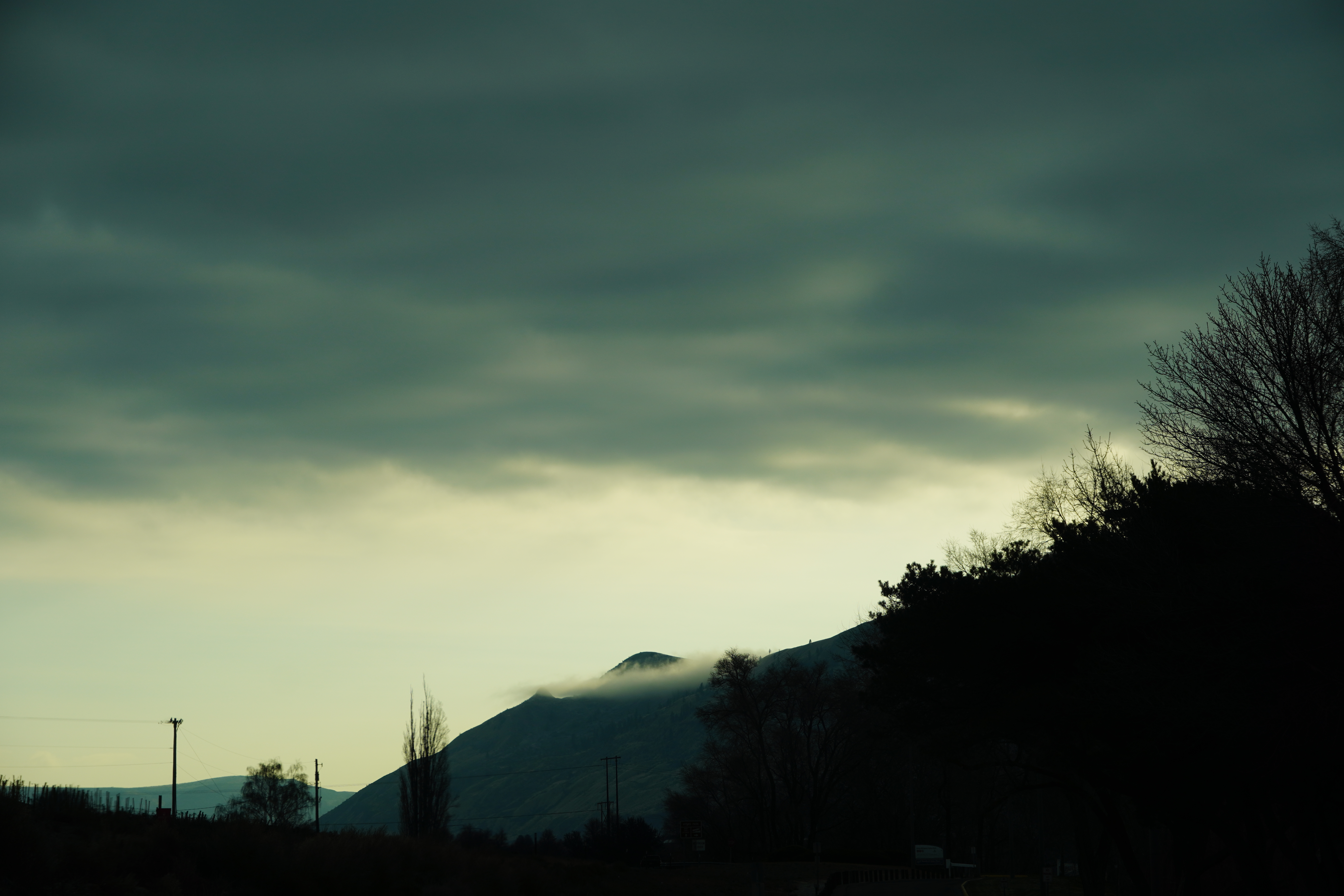 No BS Meats Artisan Cut 5