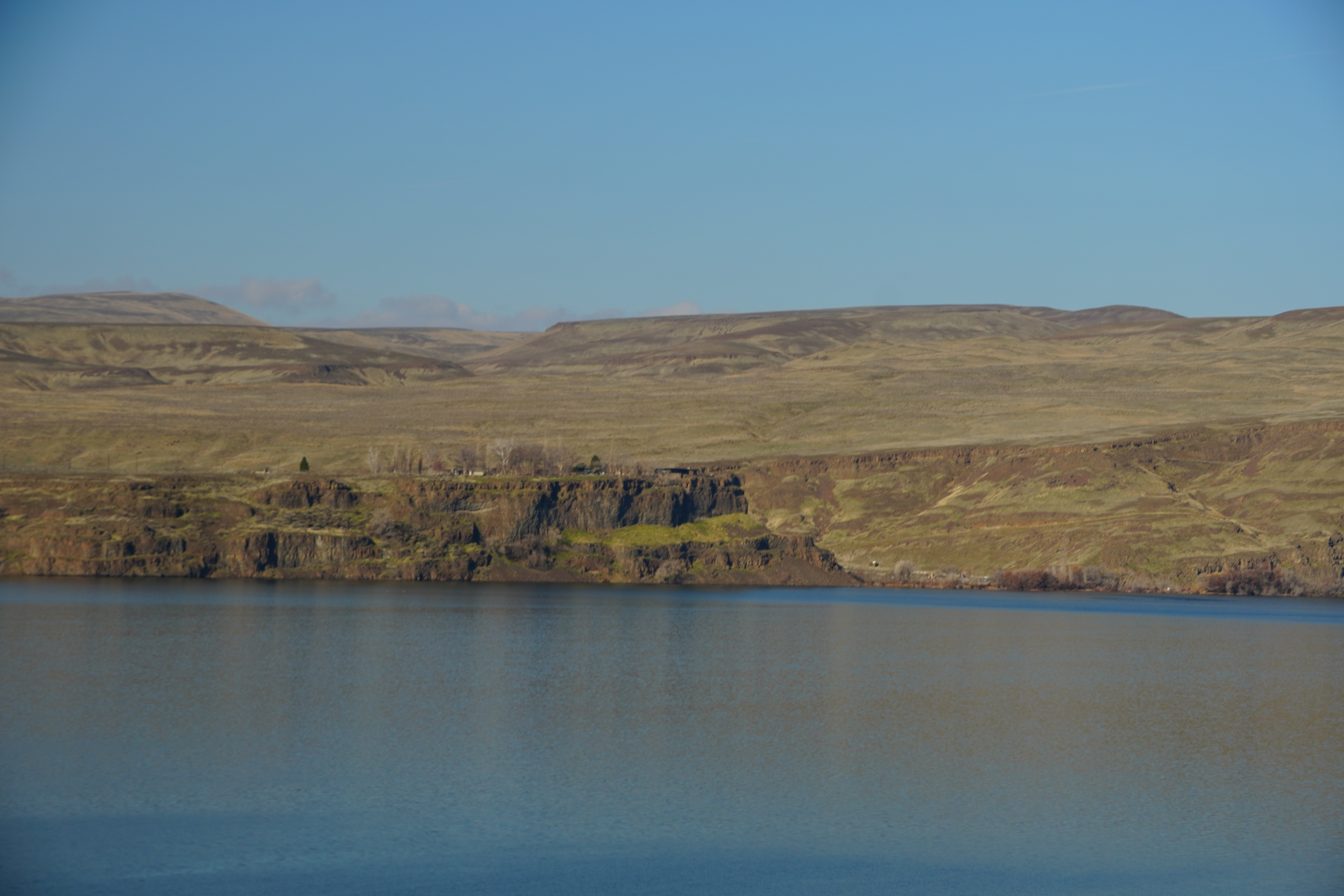 No BS Meats Artisan Cut 6