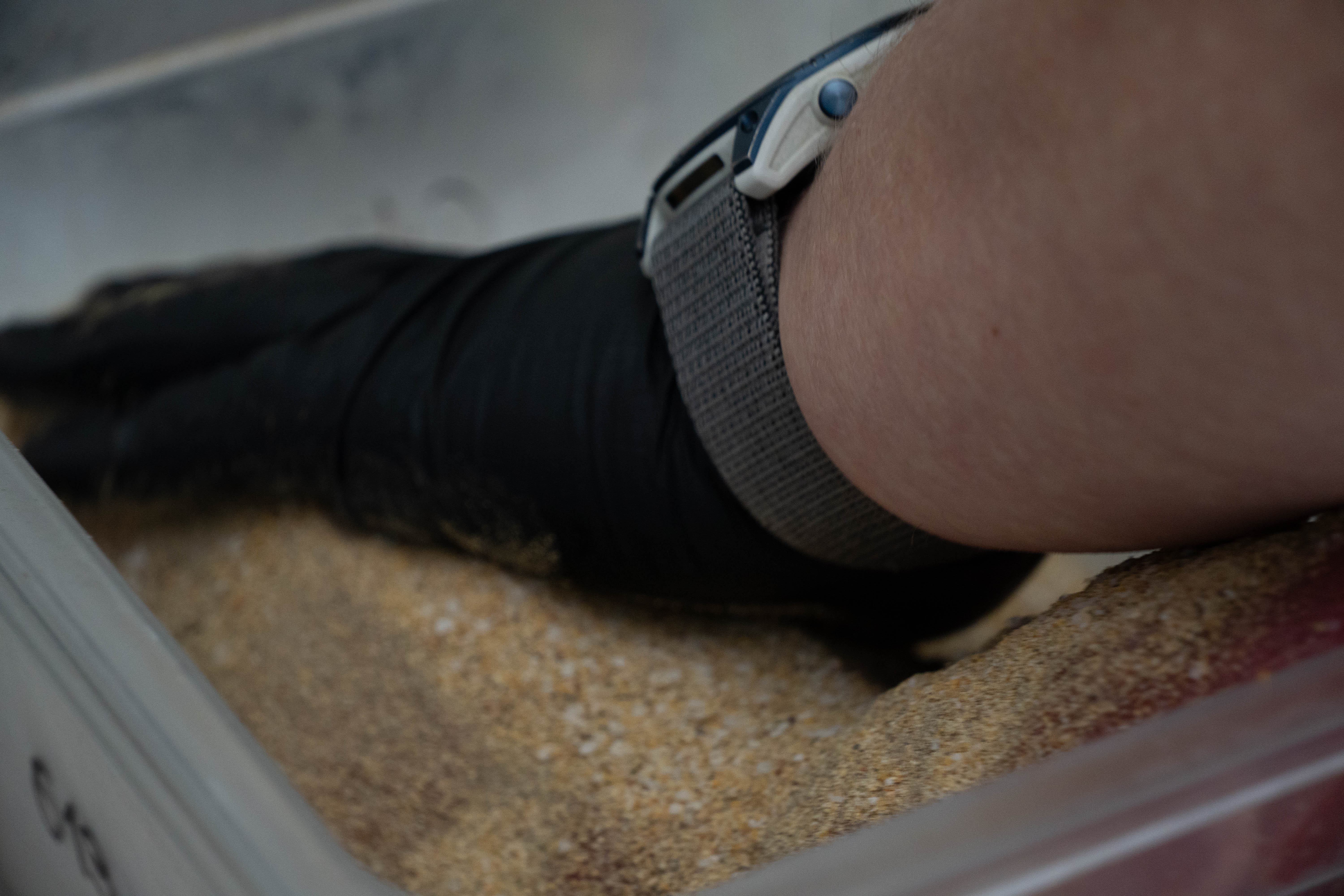 No BS Meats Artisan Cut 8